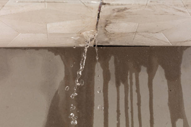 Professional Water Damage Inspection technician working in Fultonville, NY